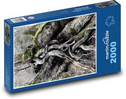 Kmeň stromu - korene stromov - Puzzle 2000 dielikov, rozmer 90x60 cm 