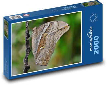 Motyl - owad - Puzzle 2000 elementów, rozmiar 90x60 cm