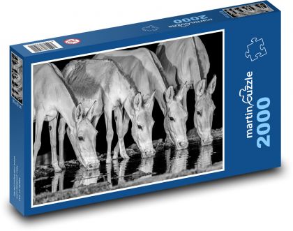 Voľne žijúce zvieratá - Puzzle 2000 dielikov, rozmer 90x60 cm 