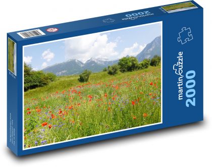 Mountain meadow - Puzzle 2000 pieces, size 90x60 cm 