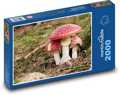 Mushrooms - Toadstool - Puzzle 2000 pieces, size 90x60 cm 