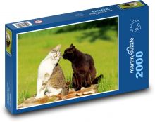 Kočky Puzzle 2000 - 90x60 cm