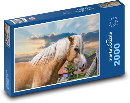 Kôň - Puzzle 2000 dielikov, rozmer 90x60 cm 