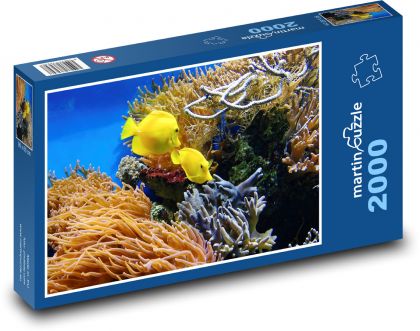 Akwarium - ryby ozdobne - Puzzle 2000 elementów, rozmiar 90x60 cm
