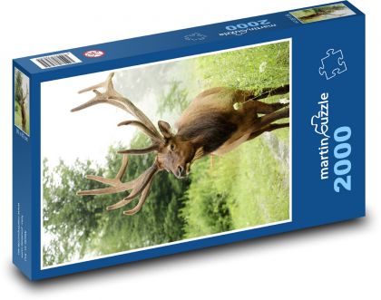 Jeleň - voľne žijúca zver - Puzzle 2000 dielikov, rozmer 90x60 cm 