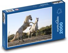 Boj - kone Puzzle 2000 dielikov - 90 x 60 cm