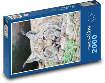 Ein Luchs. - Puzzle - 2000 Teile