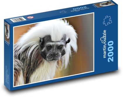 Małpa - zwierzę - Puzzle 2000 elementów, rozmiar 90x60 cm