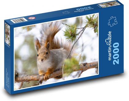 Eichhörnchen - Nagetier - Puzzle - 2000 Teile