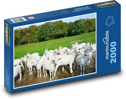 Bílé kozy na pastvě - puzzle 2000 dílků