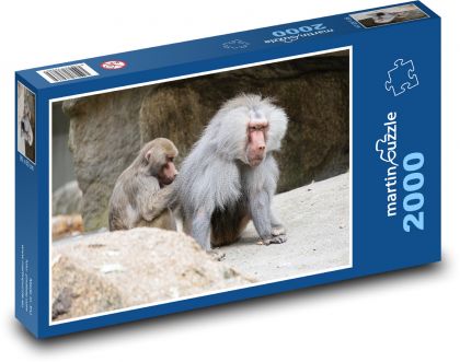 Opice - pavián - puzzle 2000 dílků