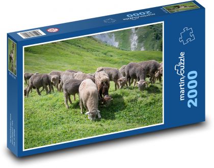 Pasúce sa ovce - Puzzle 2000 dielikov, rozmer 90x60 cm 