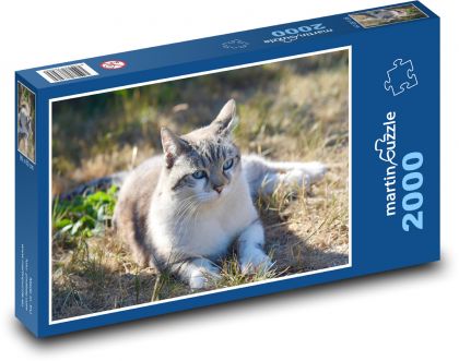 Toulavá kočka - Puzzle 2000 dílků, rozměr 90x60 cm