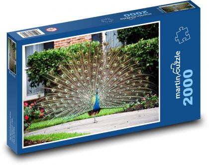 Pták - páv - puzzle 2000 dílků