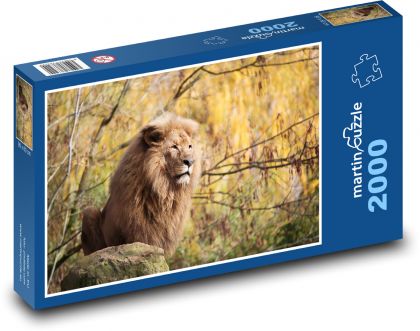 Lev - zviera - Puzzle 2000 dielikov, rozmer 90x60 cm 