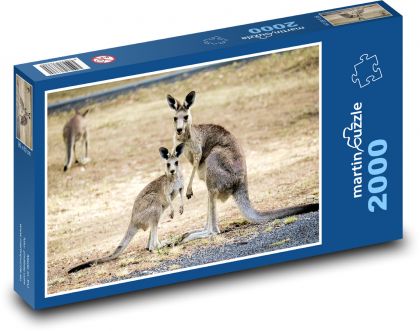 Klokani - Austrálie - puzzle 2000 dílků