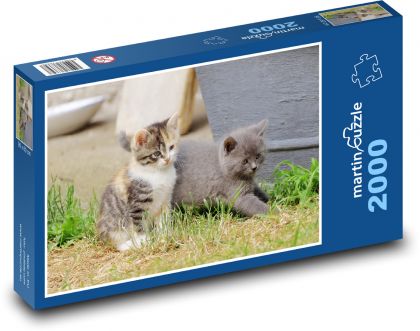 Kocięta - koty - Puzzle 2000 elementów, rozmiar 90x60 cm