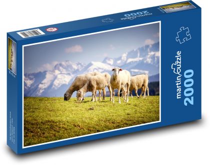 Louka - stádo ovcí - puzzle 2000 dílků