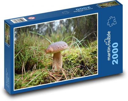 Houba - hřib - puzzle 2000 dílků