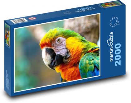 Bird - parrot - Puzzle 2000 pieces, size 90x60 cm 