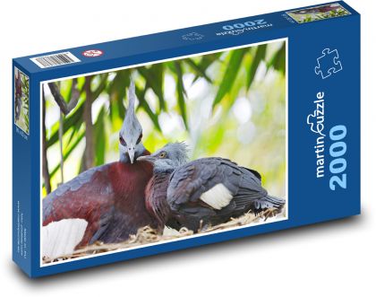 Korunovaný holub - Puzzle 2000 dielikov, rozmer 90x60 cm 