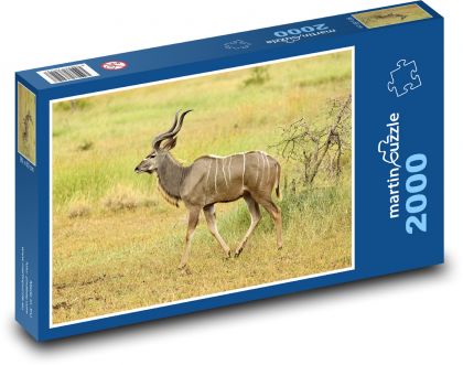 Divoká zver - antilopa - Puzzle 2000 dielikov, rozmer 90x60 cm 
