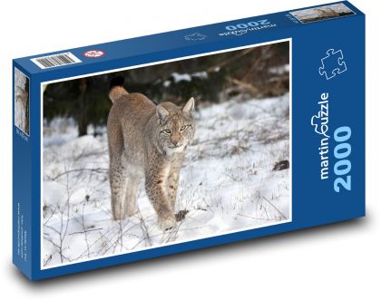 Beast - Lynx - Puzzle 2000 dielikov, rozmer 90x60 cm 