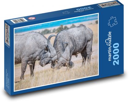 Safari - bawoły - Puzzle 2000 elementów, rozmiar 90x60 cm