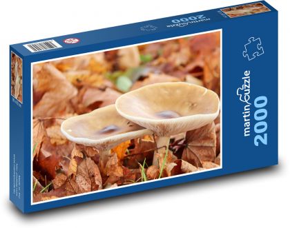 Pilze - Fliegenpilz - Puzzle - 2000 Teile