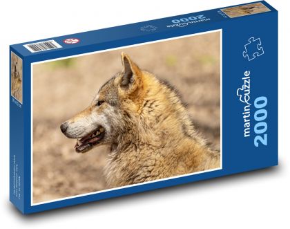 Wolf - predator - Puzzle 2000 pieces, size 90x60 cm 
