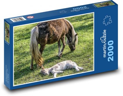 Kobyla - žriebä - Puzzle 2000 dielikov, rozmer 90x60 cm 