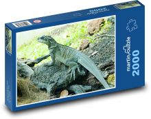 Ještěrka - agama Puzzle 2000 dílků - 90 x 60 cm