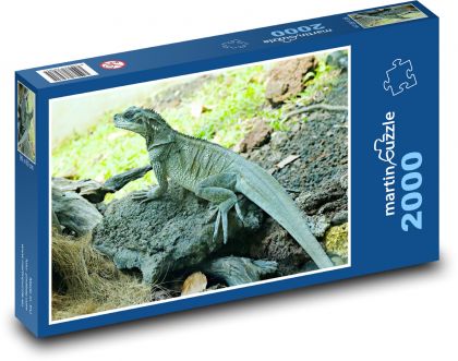 Ještěrka - agama - Puzzle 2000 dílků, rozměr 90x60 cm