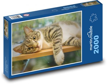 Roztomilá mačka - Puzzle 2000 dielikov, rozmer 90x60 cm 