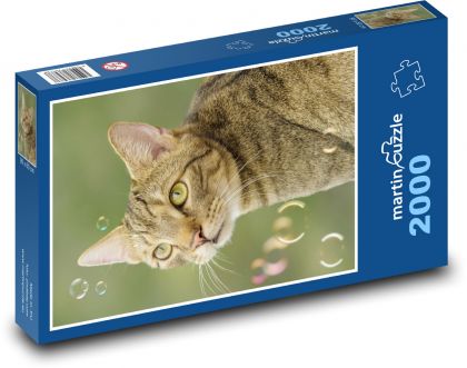 Mačka - Mourek - Puzzle 2000 dielikov, rozmer 90x60 cm 