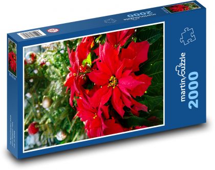 Vianočná hviezda - kvetina - Puzzle 2000 dielikov, rozmer 90x60 cm 