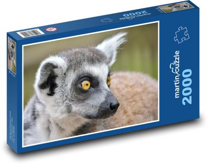Lemur - Puzzle 2000 dielikov, rozmer 90x60 cm 