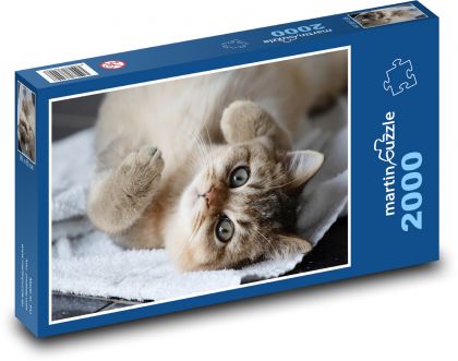 Mačka - domáce zviera - Puzzle 2000 dielikov, rozmer 90x60 cm 