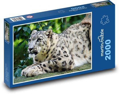 Leopard - Puzzle 2000 dielikov, rozmer 90x60 cm 