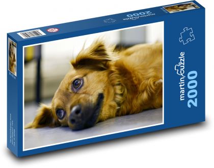 Süßer Hund - Puzzle - 2000 Teile