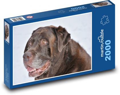 Retriever - Dog - Puzzle 2000 pieces, size 90x60 cm 