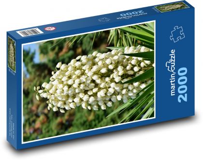 Juka - květina - puzzle 2000 dílků