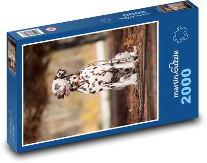 Dalmatian - dog - Puzzle 2000 pieces, size 90x60 cm 