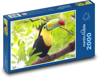 Tukan - pták - puzzle 2000 dílků
