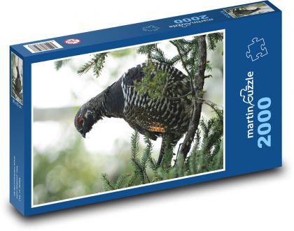 Vogel - Auerhuhn - Puzzle - 2000 Teile