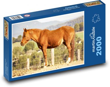 Kůň - puzzle 2000 dílků