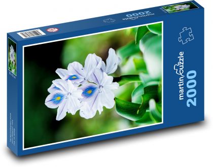 Lila Blume - Puzzle - 2000 Teile