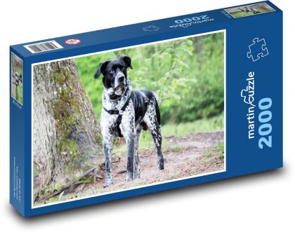 German Shorthaired Pointer - Puzzle 2000 pieces, size 90x60 cm 