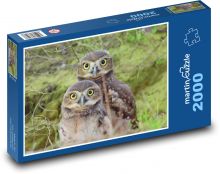 Sovy - les Puzzle 2000 dílků - 90 x 60 cm