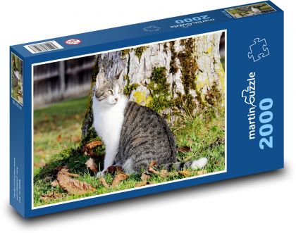 Katze - Puzzle - 2000 Teile